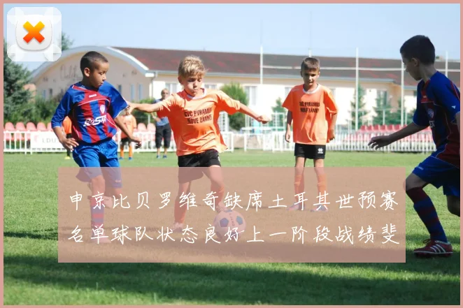 申京比贝罗维奇缺席土耳其世预赛名单球队状态良好上一阶段战绩斐然